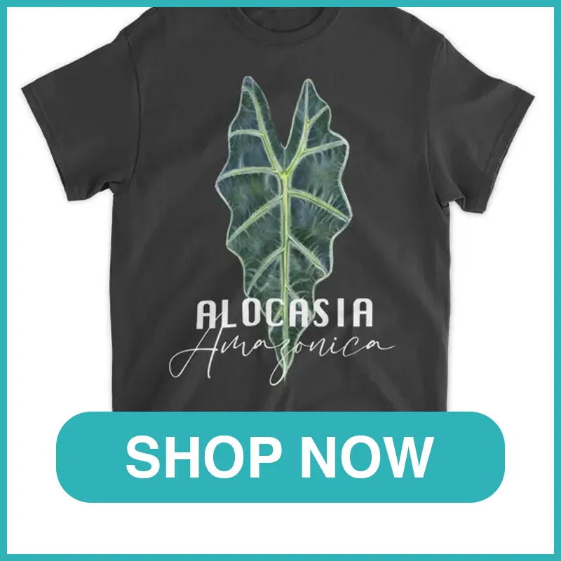 Alocasia Amazonica Shirt monsteraholic
