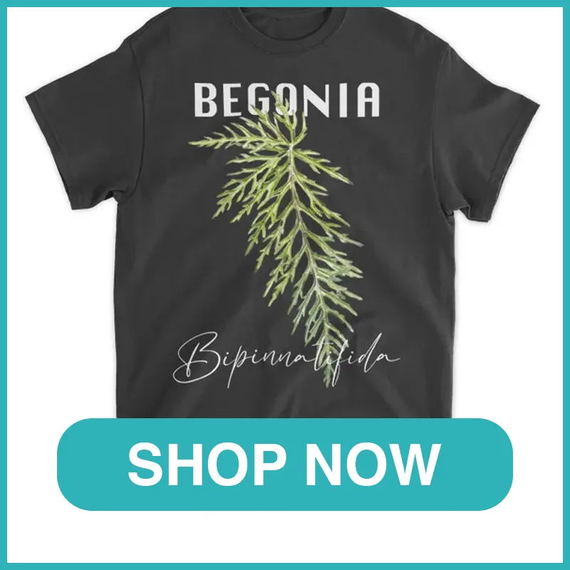 Begonia Bipinnatifida Shirt monsteraholic