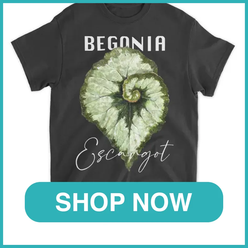 Begonia Escargot Shirt monsteraholic