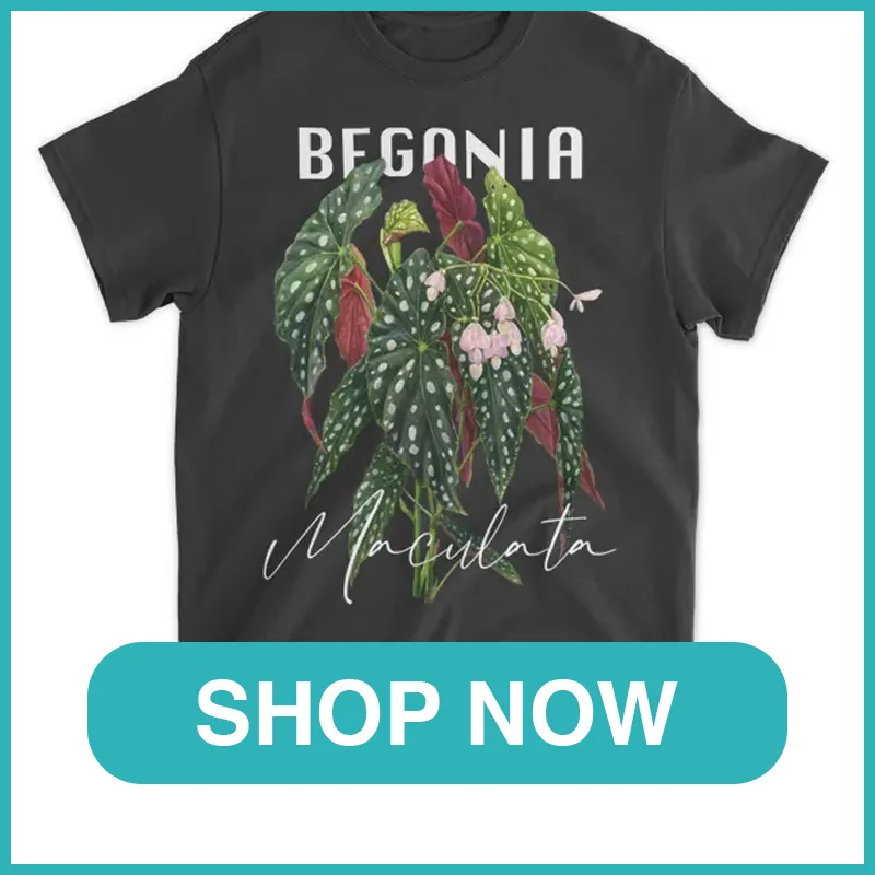 Begonia Maculata Shirt monsteraholic
