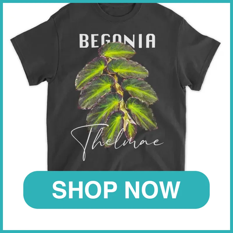 Begonia Thelmae Shirt monsteraholic