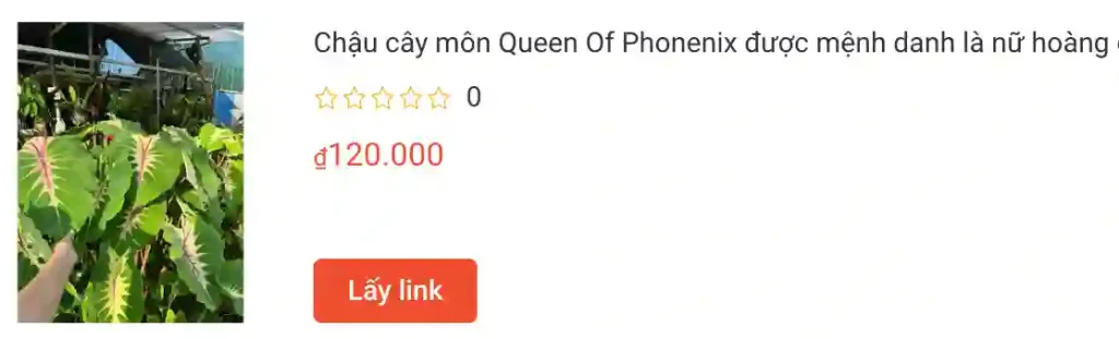 Chau cay mon Queen Of Phonenix | Monsteraholic