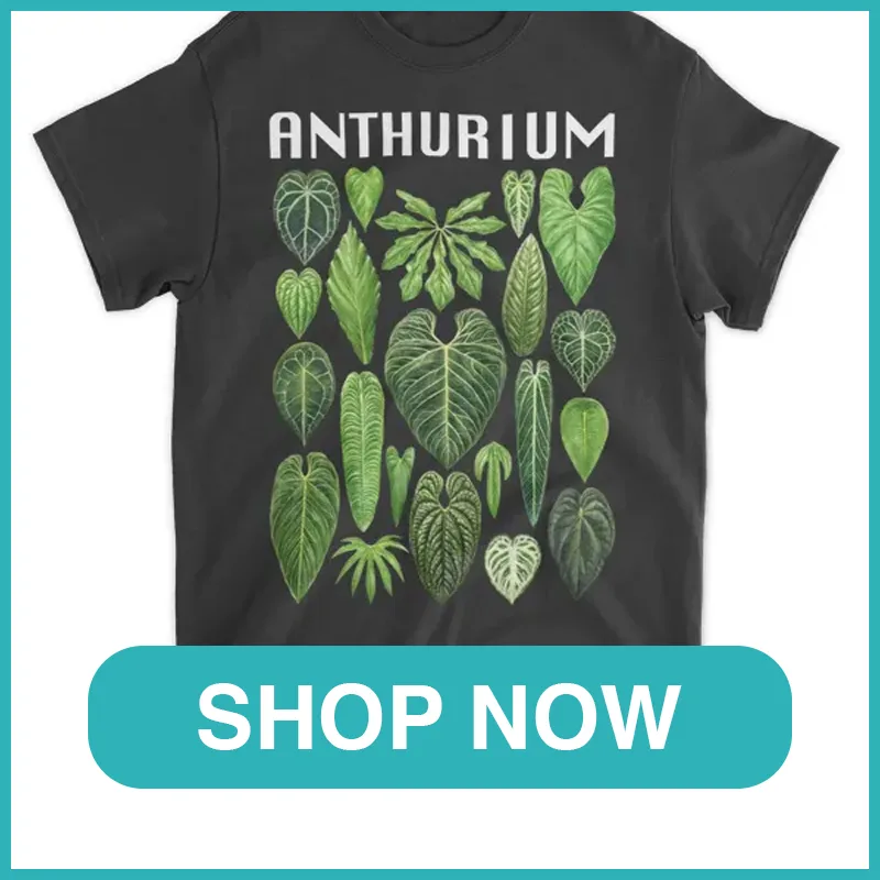anthurium shirt monsteraholic