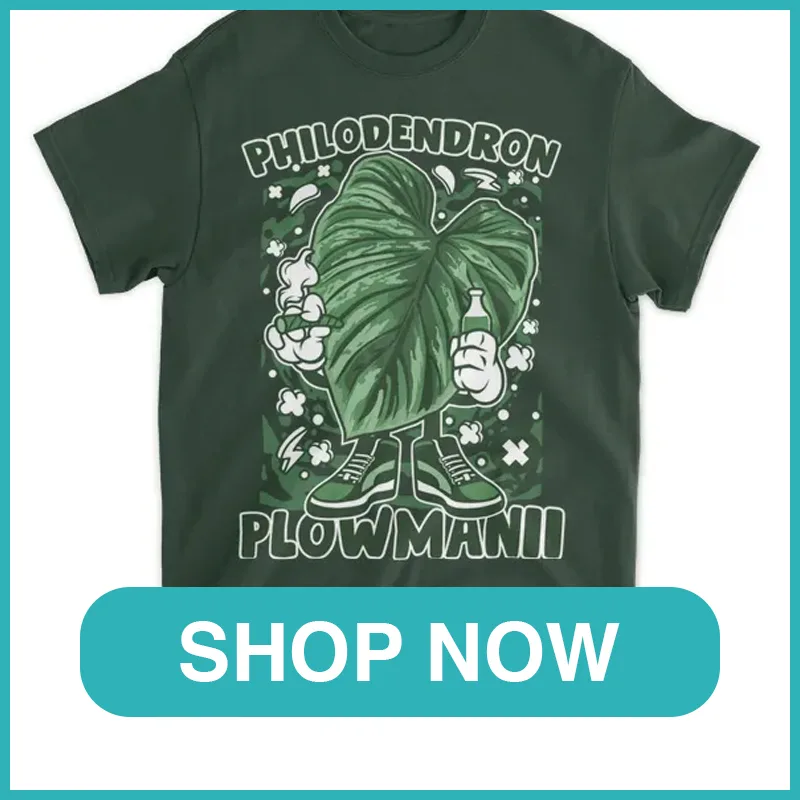 https monsteraholic.shopcool philodendron plowmanii 1