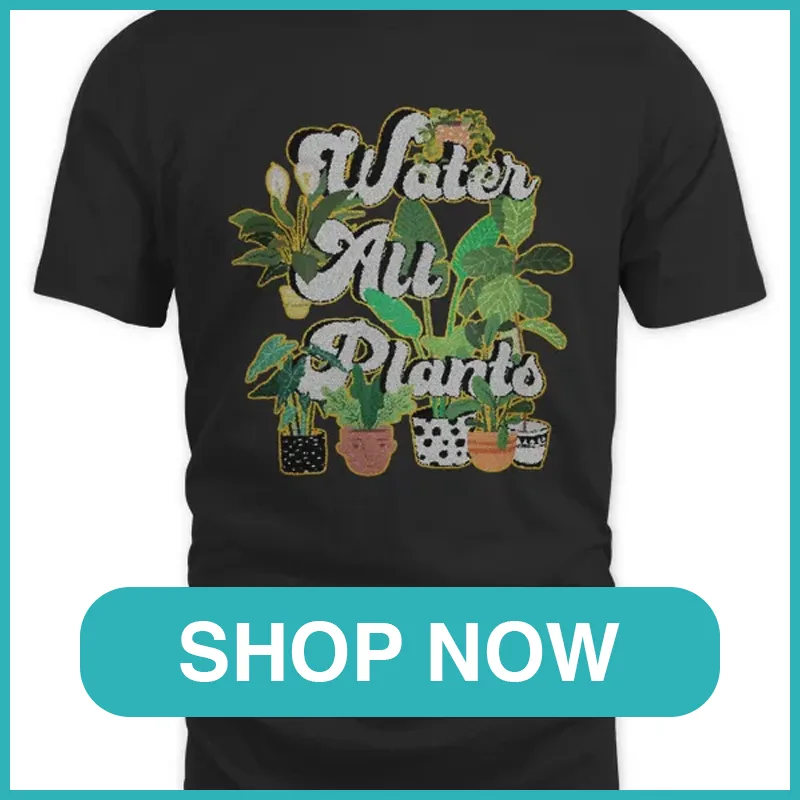 water all plants monsteraholic