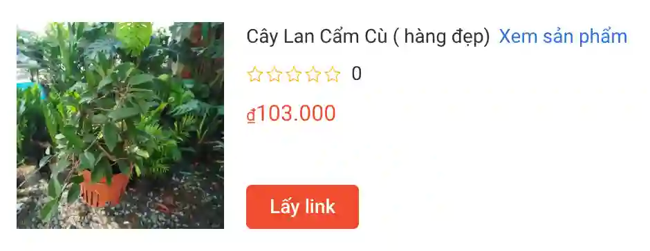 566 loài thuộc chi Hoya - Lan cẩm cù 5 Cay Lan Cam Cu hang dep | Monsteraholic
