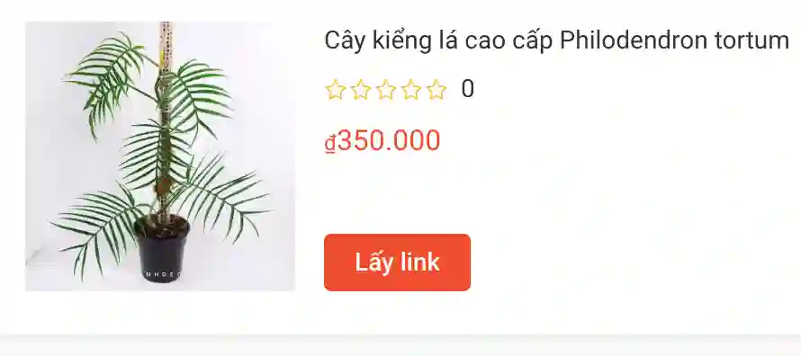 Cay kieng la cao cap Philodendron tortum | Monsteraholic