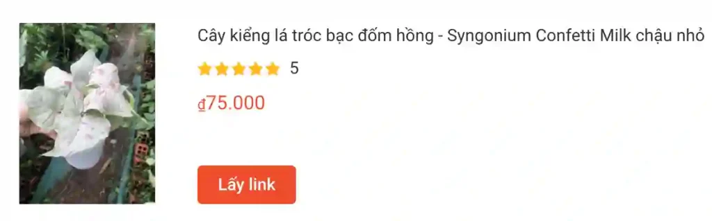 Cay kieng la troc bac dom hong Syngonium Confetti Milk chau nho | Monsteraholic