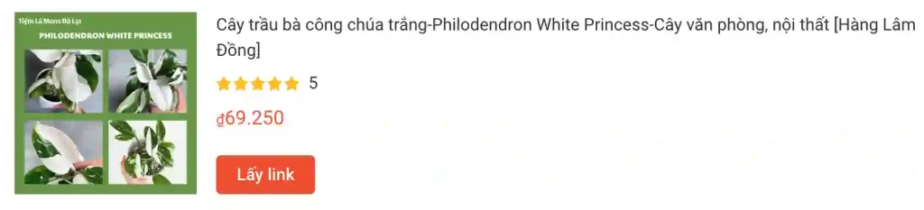 Cay trau ba cong chua trang Philodendron White Princess | Monsteraholic