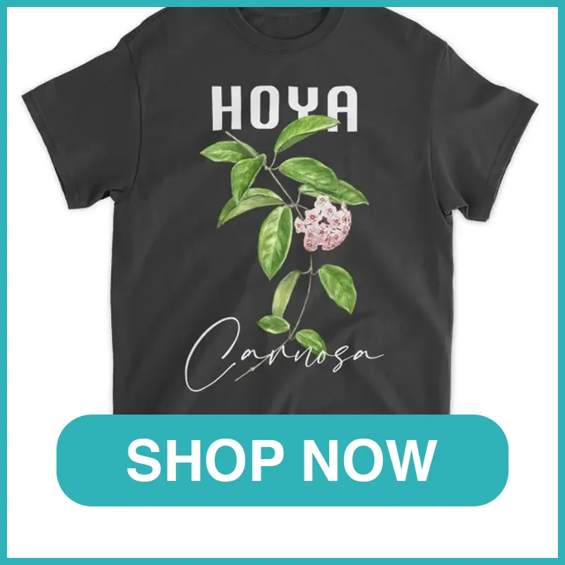 Hoya Carnosa Shirt monsteraholic
