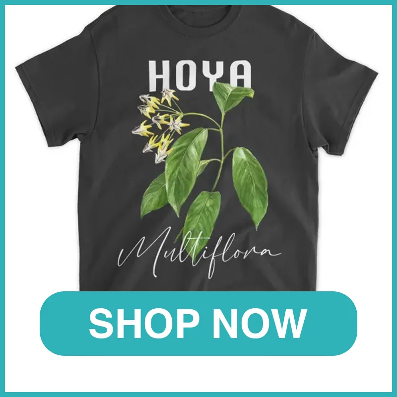 Hoya Multiflora Shirt monsteraholic