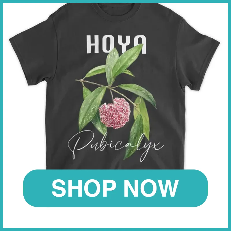 Hoya Pubicalyx Shirt monsteraholic