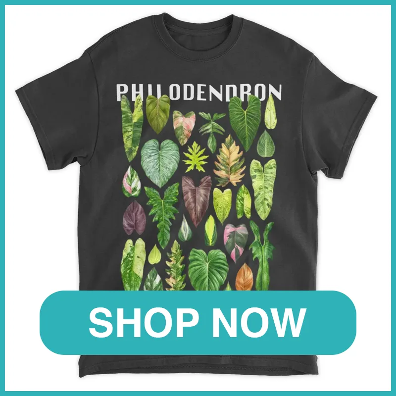 Philodendron Shirt monsteraholic
