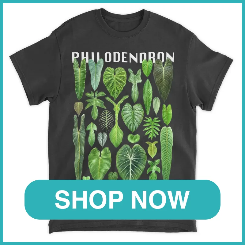 Philodendron Species Shirt monsteraholic