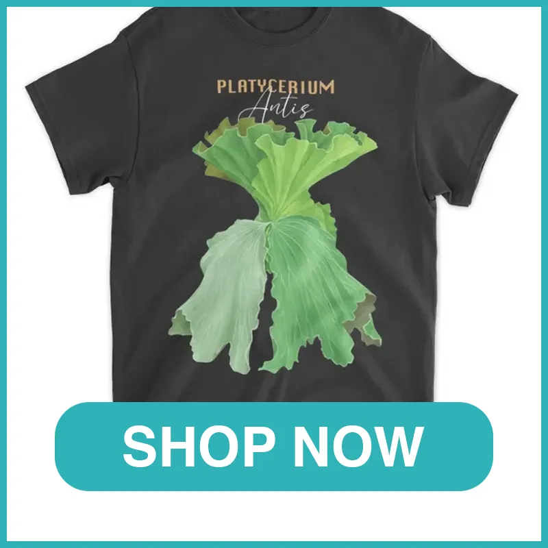 Platycerium Antis shirt monsteraholic
