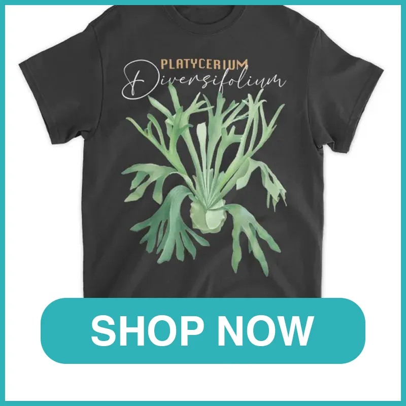 Platycerium Diversifolium shirt monsteraholic