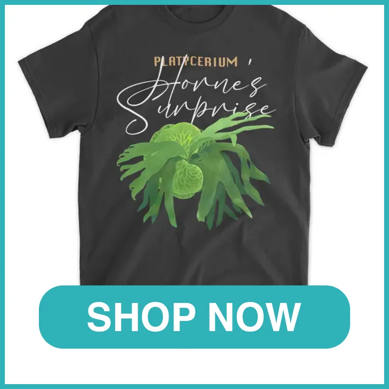 Platycerium Hornes Surprise shirt monsteraholic