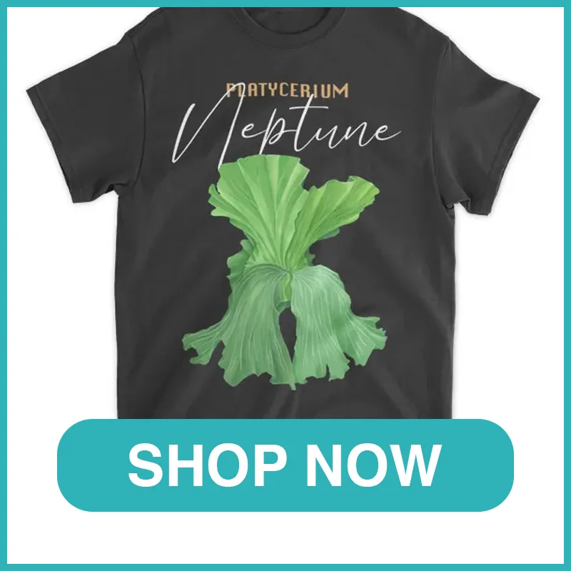 Platycerium Neptune shirt monsteraholic
