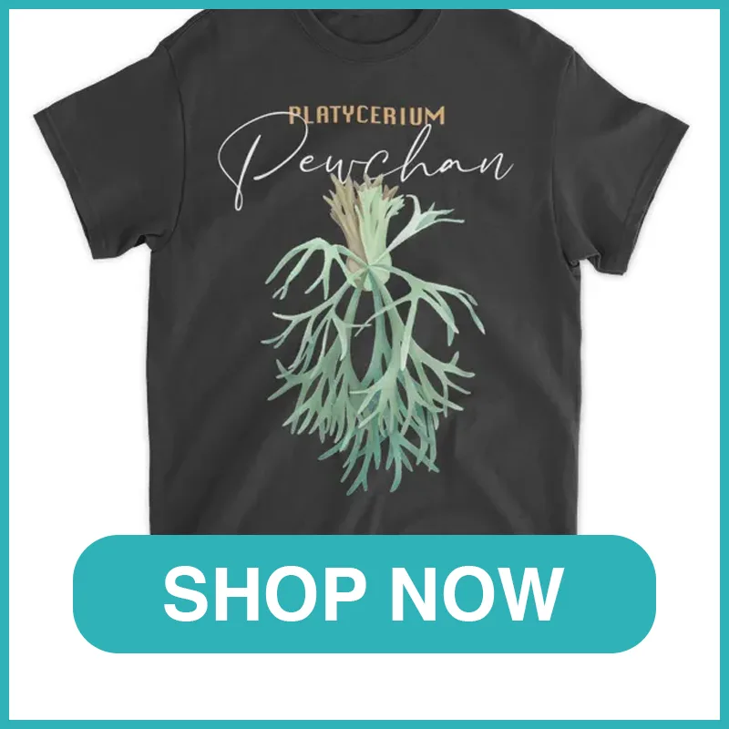 Platycerium Pewchan shirt monsteraholic