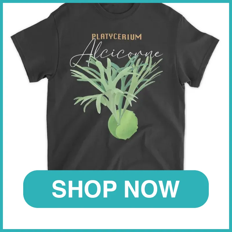Platycerium alcicorne shirt monsteraholic
