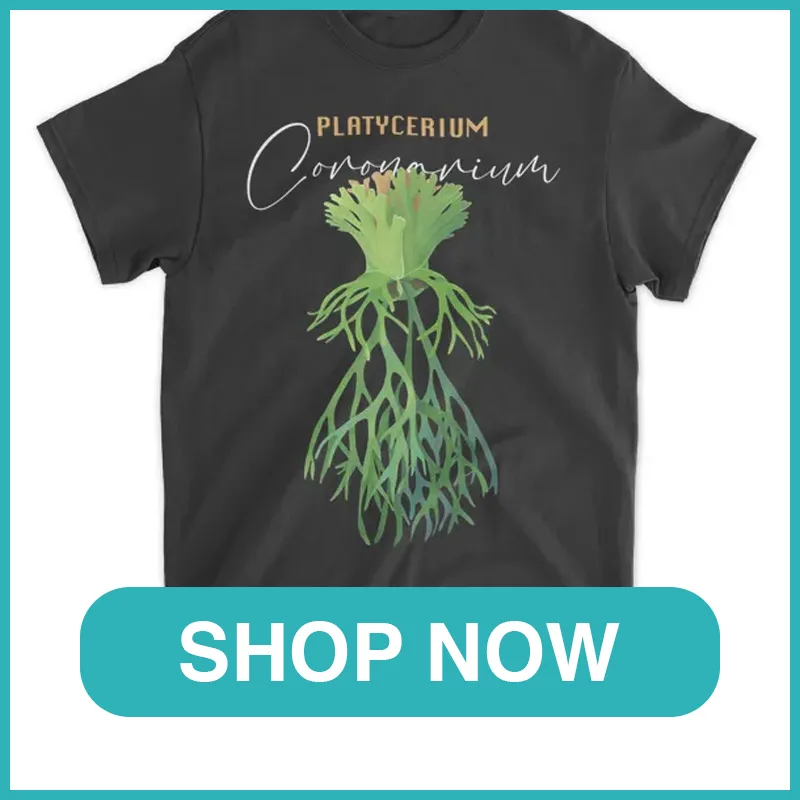 Platycerium coronarium shirt monsteraholic