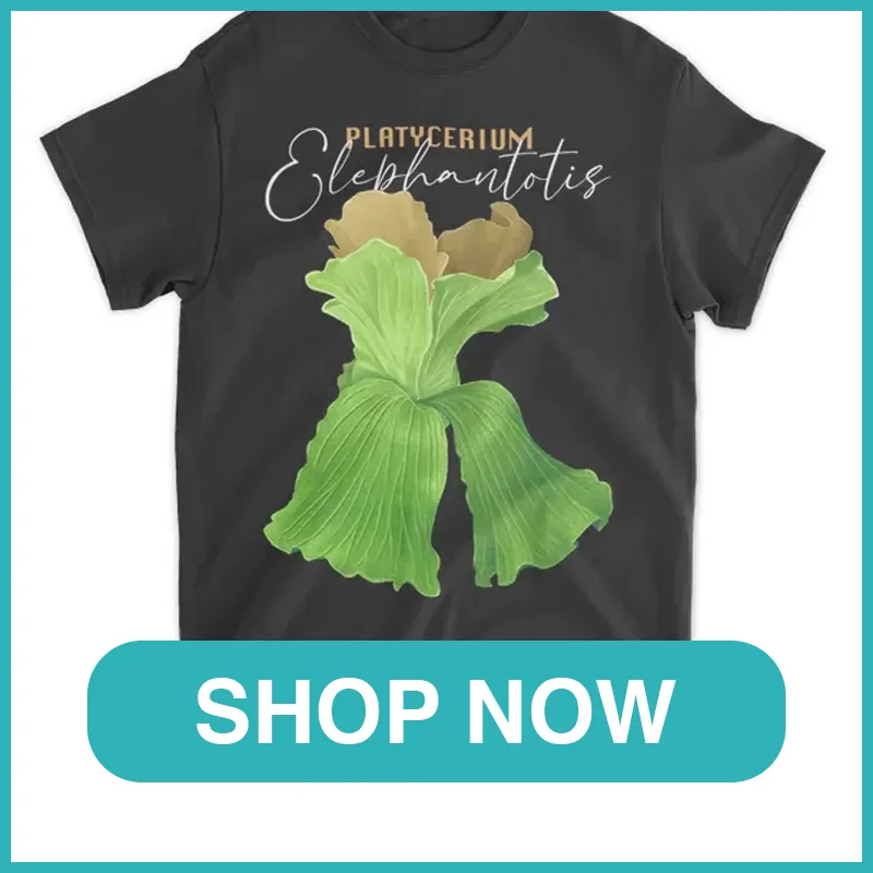 Platycerium elephantotis shirt monsteraholic