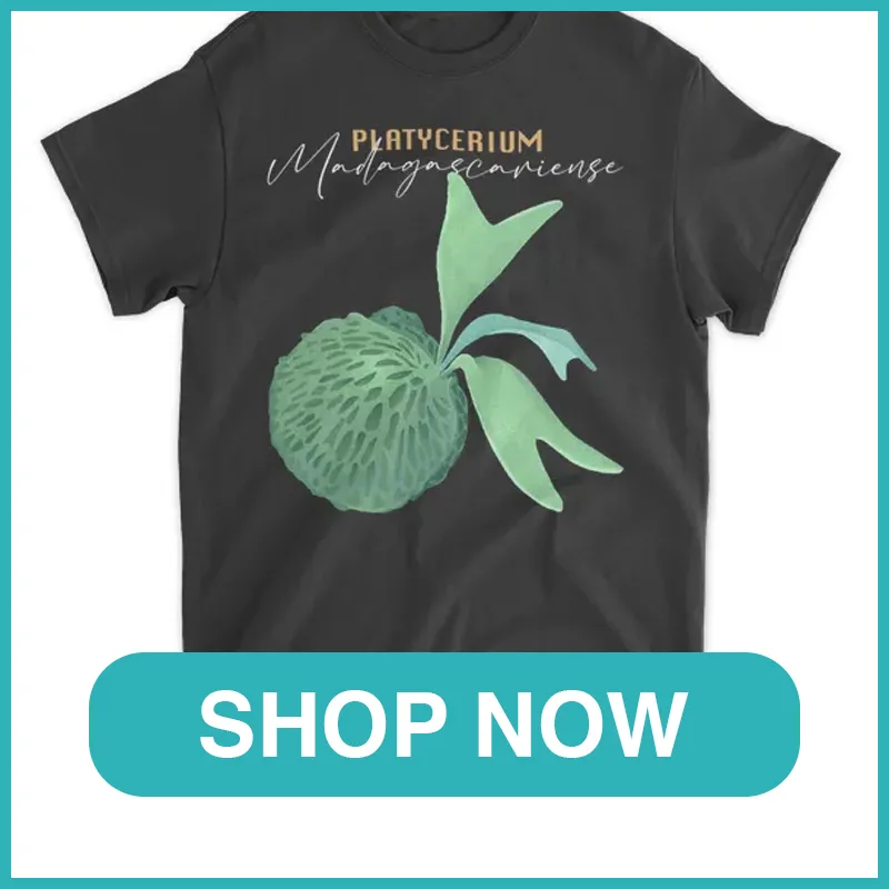 Platycerium madagascariense shirt monsteraholic