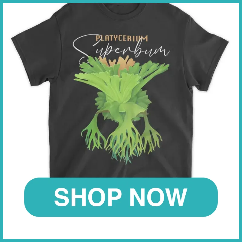 Platycerium superbum shirt monsteraholic