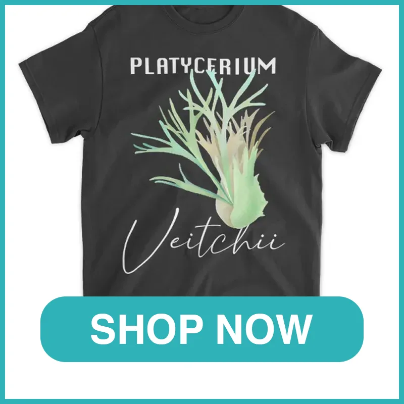 Platycerium veitchii shirt monsteraholic