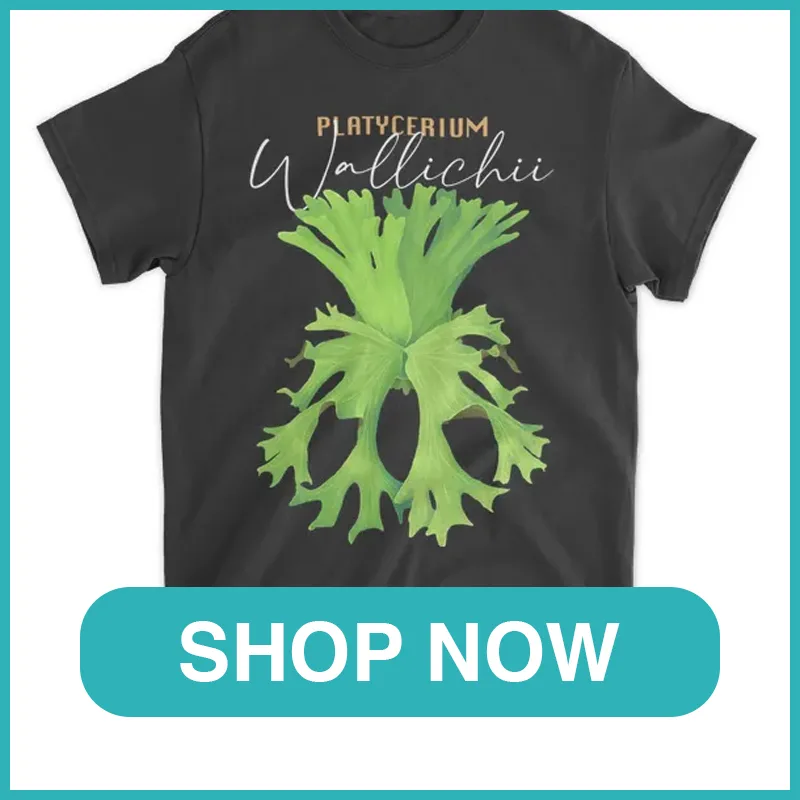 Platycerium wallichii shirt monsteraholic