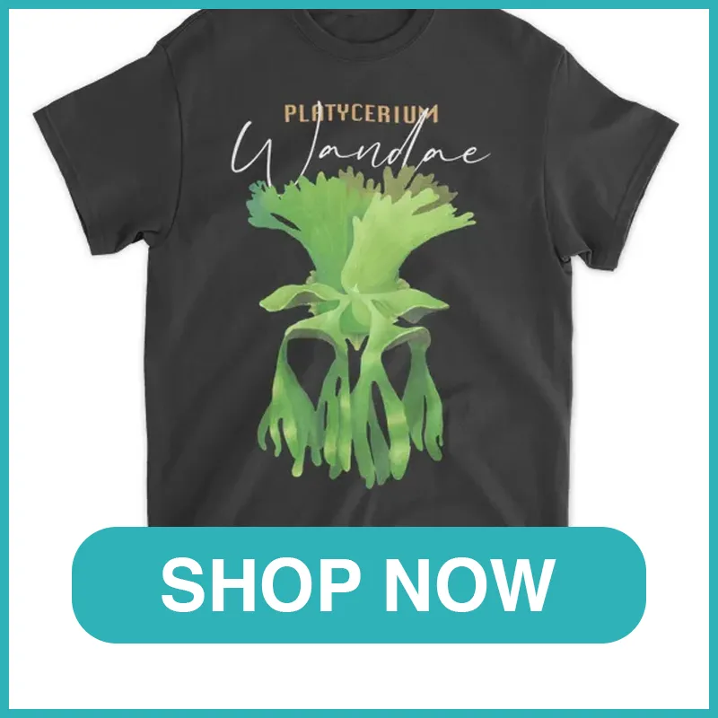 Platycerium wandae shirt monsteraholic