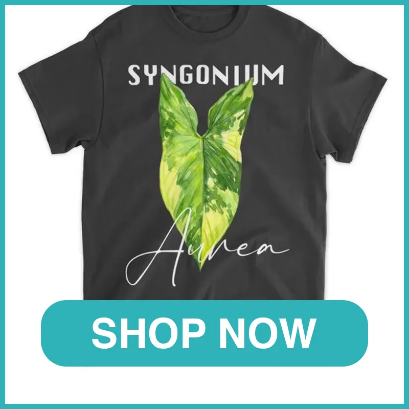 Syngonium Aurea Shirt monsteraholic