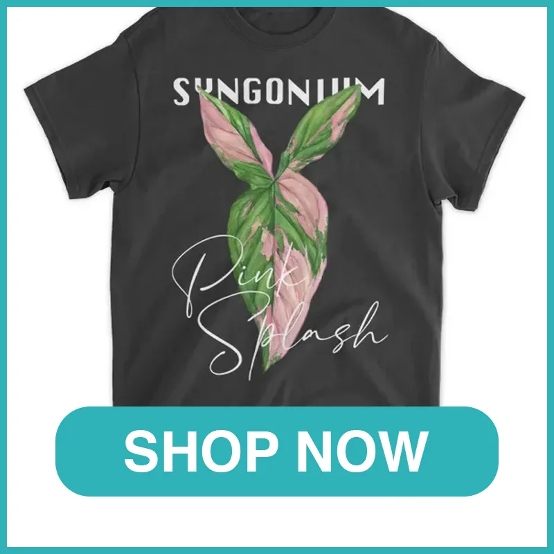Syngonium Pink Splash Shirt monsteraholic