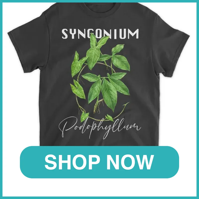 Syngonium Podophyllum Shirt monsteraholic