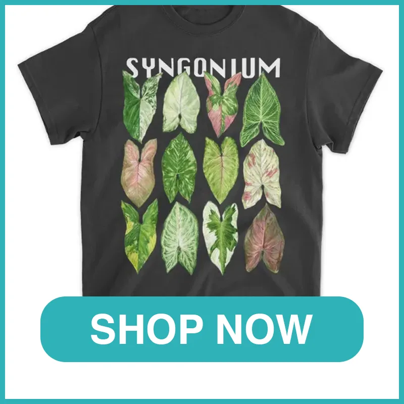 Syngonium Podophyllum Varieties Shirt monsteraholic