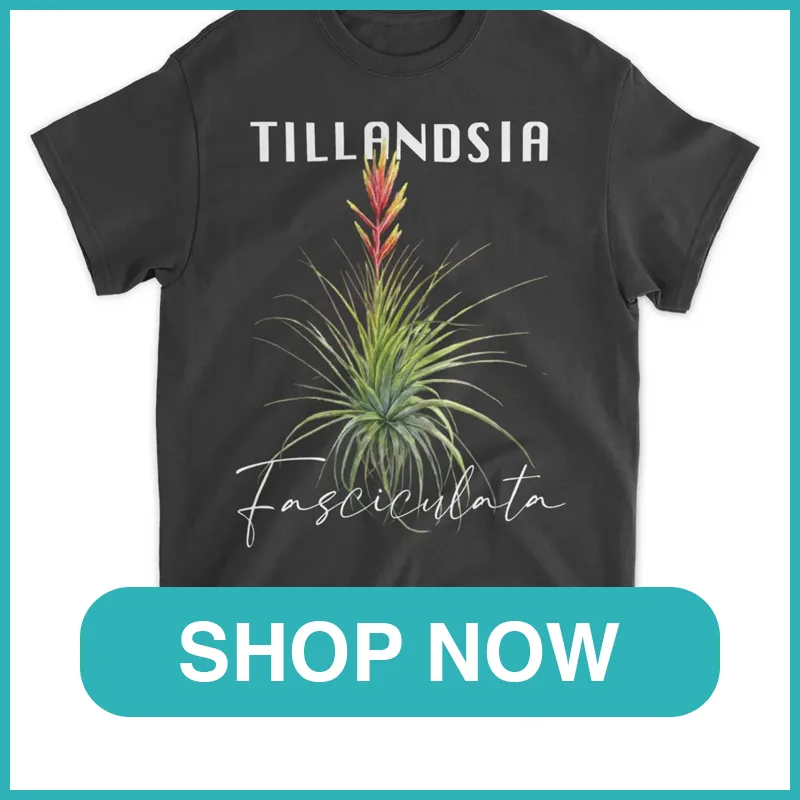 Tillandsia Fasciculata Shirt monsteraholic