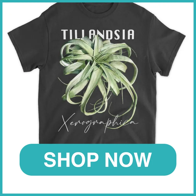 Tillandsia Xerographica Shirt monsteraholic