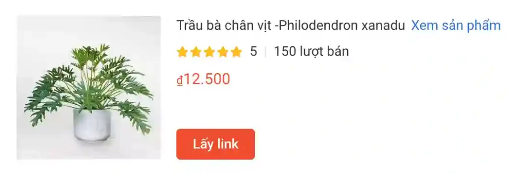 Hướng dẫn chăm sóc Philodendron Xanadu - Trầu bà chân vịt 1 Trau ba chan vit Philodendron xanadu | Monsteraholic