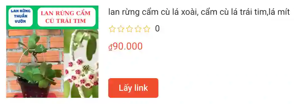 566 loài thuộc chi Hoya - Lan cẩm cù 6 lan rung cam cu la xoai cam cu la trai timla mit | Monsteraholic
