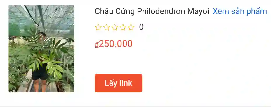 mayoi | Monsteraholic