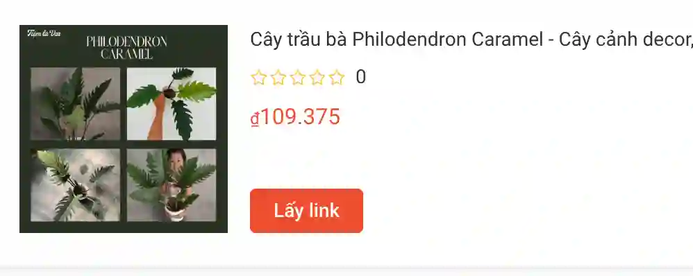 trau ba caramel | Monsteraholic