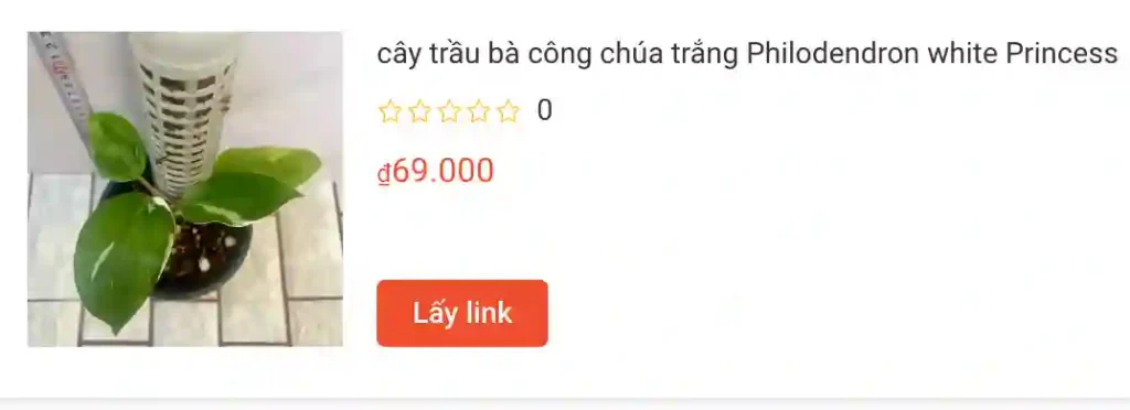 trau ba cong chua trang | Monsteraholic