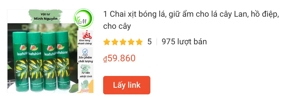 1 Chai xit bong la giu am cho la cay Lan ho diep cay van phong cac loai cay canh xit bong la cho cay | Monsteraholic