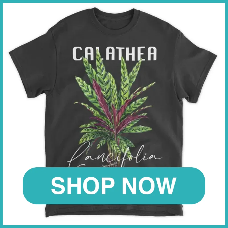 Calathea Lancifolia Shirt monsteraholic