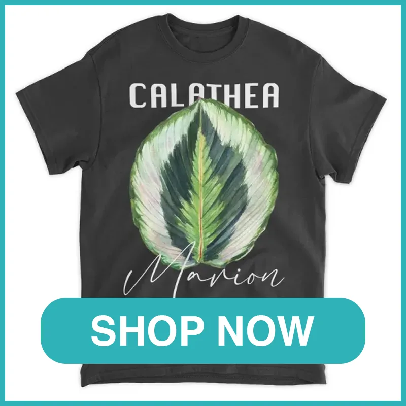 Calathea Marion Shirt monsteraholic