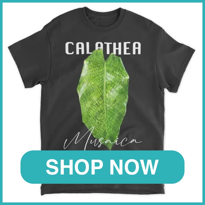 Calathea Musaica Shirt monsteraholic