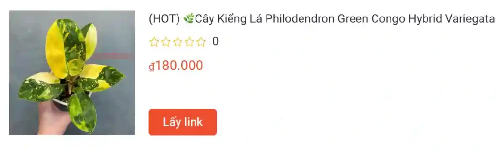 Những điều có thể bạn chưa biết về Philodendron Green Congo 1 Cay Kieng La Philodendron Green Congo Hybrid Variegata | Monsteraholic