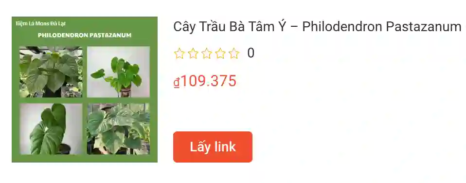 Cay Trau Ba Tam Y – Philodendron Pastazanum | Monsteraholic