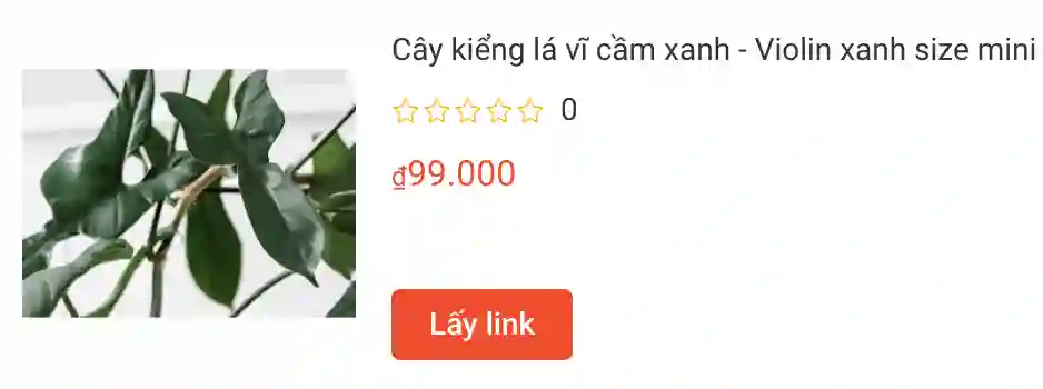 Những điều có thể bạn chưa biết về Philodendron Bipennifolium - Trầu bà vĩ cầm - Violin xanh 1 Cay kieng la vi cam xanh Violin xanh size mini Philodendron Bipennifolium | Monsteraholic