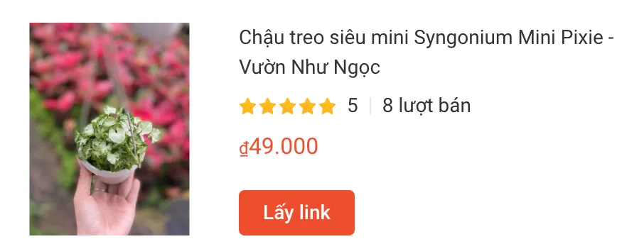Chau treo sieu mini Syngonium Mini | Monsteraholic